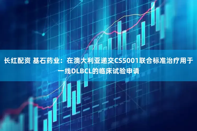 长红配资 基石药业：在澳大利亚递交CS5001联合标准治疗用于一线DLBCL的临床试验申请